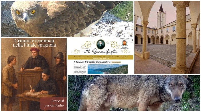 Storia, cultura e natura: l'estate dell'Associazione Emanuele Celesia porta eventi dal Finalese al Piemonte Storia, cultura e natura: l'estate dell'Associazione Emanuele Celesia porta eventi dal Finalese al Piemonte