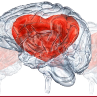 A Loano un convegno ed una giornata di sensibilizzazione sulle malattie cardiovascolari: infarto e ictus