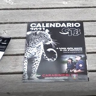 Presentato il calendario dei carabinieri del Cites 2021, forte l'impegno anche in provincia di Savona a protezione delle specie a rischio (VIDEO)