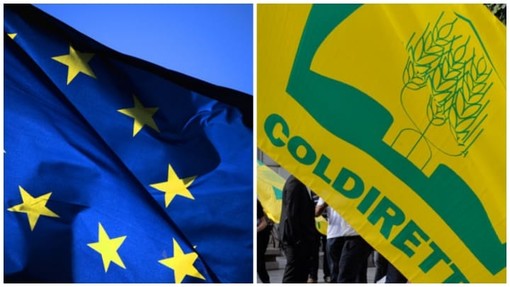 Coldiretti Liguria: "Le nuove misure Ue sulla pesca sono insostenibili"