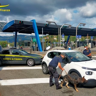 Savona, un arresto per spaccio di droga e due denunce per commercio di capi contraffatti