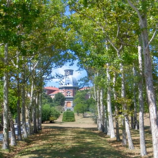 Foto tratta da Google Maps