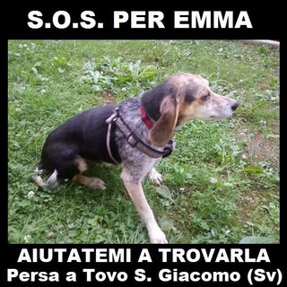 Tovo San Giacomo, appello per ritrovare Emma: "Scomparsa da una settimana, ha bisogno di cure"