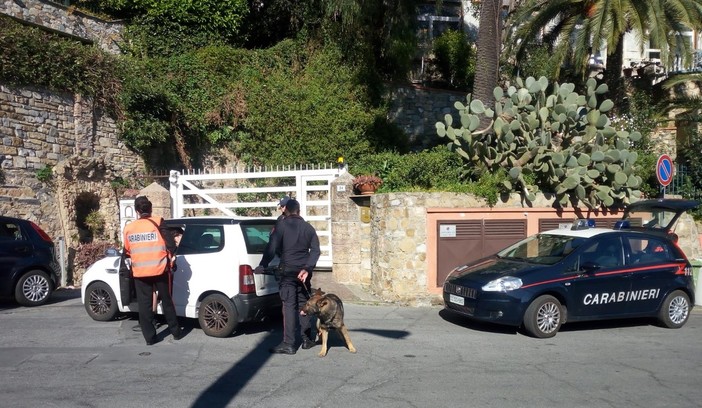 Pattuglione dei carabinieri della Compagnia di Alassio: 3 arresti, 100 persone identificate, 70 mezzi controllati e 5 patenti ritirate per guida pericolosa Pattuglione dei carabinieri della Compagnia di Alassio: 3 arresti, 100 persone identificate, 70 mezzi controllati e 5 patenti ritirate per guida pericolosa