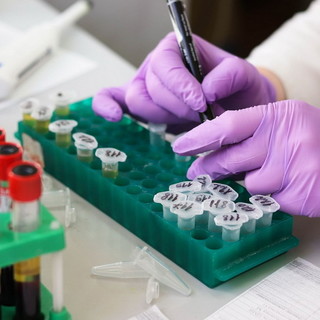 Coronavirus: 12 nuovi positivi in Liguria nelle ultime 24 ore Coronavirus: 12 nuovi positivi in Liguria nelle ultime 24 ore