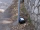 Derattizzazione urgente a Cairo Montenotte Derattizzazione urgente a Cairo Montenotte