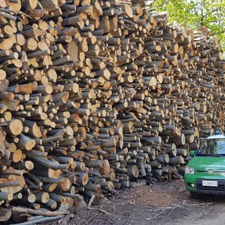 Val Bormida, controllo dei boschi da parte dei Carabinieri Forestali: rilevati tagli mal eseguiti ed irregolarità nella viabilità forestale