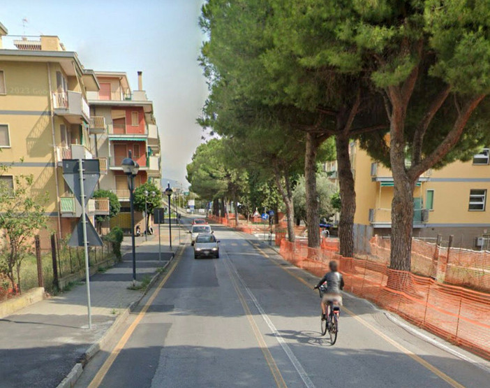 Pini di Corso Raffaello a Borghetto, le Guardie EcoZoofile GADIT: "La cura del verde urbano non può prescindere dalla sicurezza pubblica"