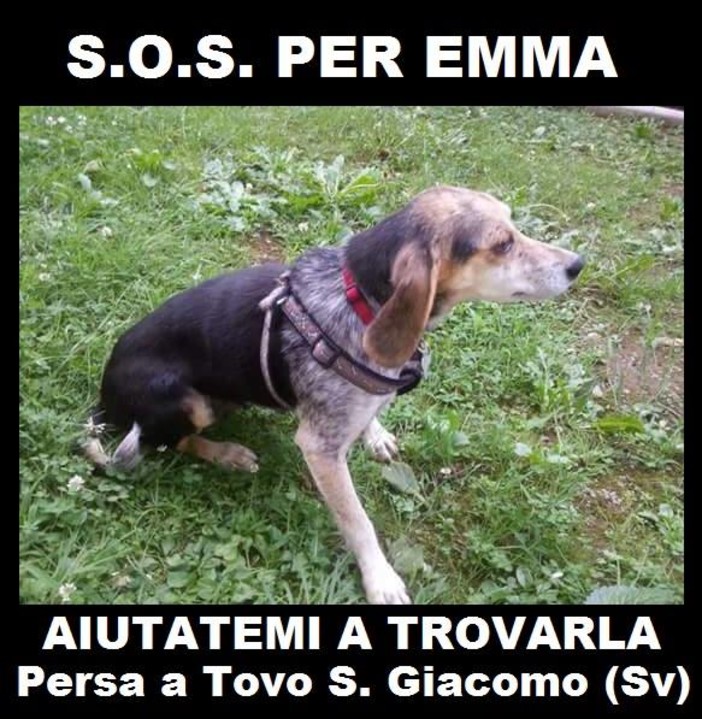 Tovo San Giacomo, appello per ritrovare Emma: "Scomparsa da una settimana, ha bisogno di cure" Tovo San Giacomo, appello per ritrovare Emma: "Scomparsa da una settimana, ha bisogno di cure"