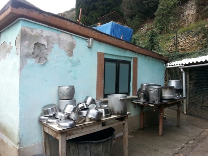 Nuovo canile di Finale, Operto: "Sollecitato Enel, necessari 8-10 mila euro per portare la corrente" Nuovo canile di Finale, Operto: "Sollecitato Enel, necessari 8-10 mila euro per portare la corrente"