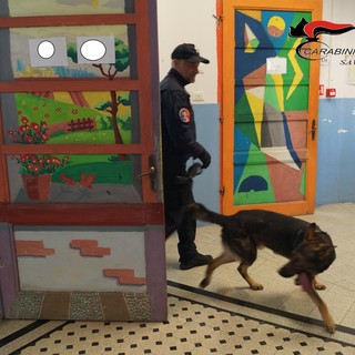 Albenga, controlli antidroga al liceo "Bruno": sequestrati 5 grammi di hashish (FOTO)