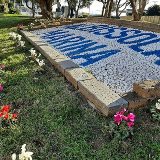 Albissola, il vice sindaco Silvestro dona al comune 150 ciclamini: "Un gesto per augurare buone feste"