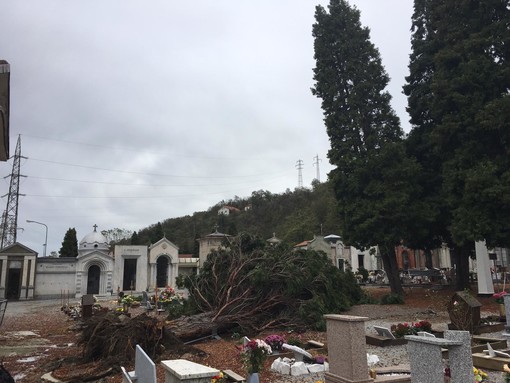 Tromba d'aria a Carcare: tetti danneggiati e alberi abbattuti (FOTO)