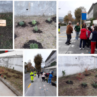 Dego, i bambini delle scuole elementari posizionano le piante officinali nell'aiuola della vetreria Verallia