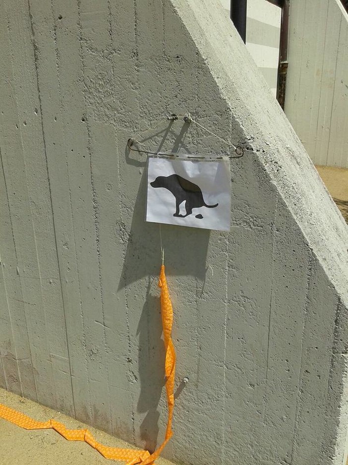 L'ENPA commenta la normativa "anti-deiezioni" di Savona: "Ormai siamo al muro contro muro"