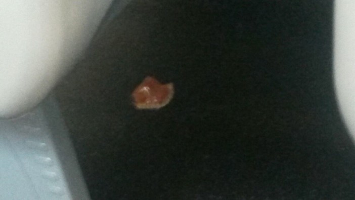 Oggetti smarriti sul treno, c'è anche una dentiera