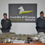Traffico internazionale di marijuana per corrispondenza: sequestrati 30 kg da Spagna e Thailandia, 5 arresti