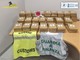 Lotta allo spaccio, Guardia di Finanza e Dogane sequestrano 154 kg di cocaina nel porto di Vado Ligure (FOTO e VIDEO)
