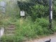 Erba alta, lampioni rotti e tombini otturati: degrado al PAIP di Savona Erba alta, lampioni rotti e tombini otturati: degrado al PAIP di Savona