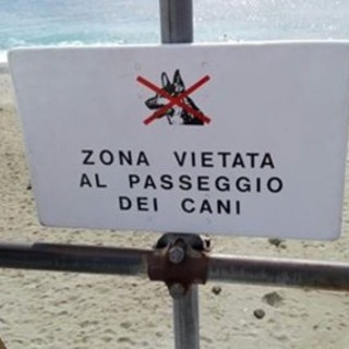 immagine di repertorio