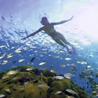 A Bergeggi escursioni di snorkeling alla Grotta Marina ed alle Falesie