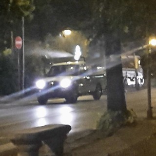 Albenga, prosegue la disinfestazione dai parassiti dei tigli nelle ore notturne Albenga, prosegue la disinfestazione dai parassiti dei tigli nelle ore notturne