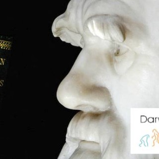 Savona: un incontro sui temi ispirati da Darwin
