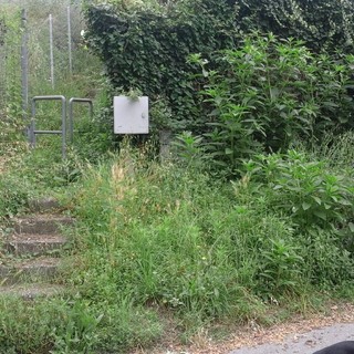 Erba alta, lampioni rotti e tombini otturati: degrado al PAIP di Savona