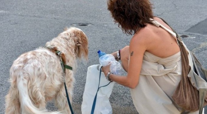 Deiezioni canine abbandonate, Perlo (Codacons Savona): "Punire non basta, serve tanta sensibilizzazione"