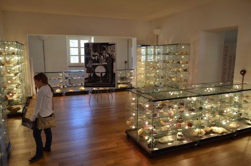 Ad Andora Faimarathon, unica tappa savonese fra le oltre 120 città italiane aderenti