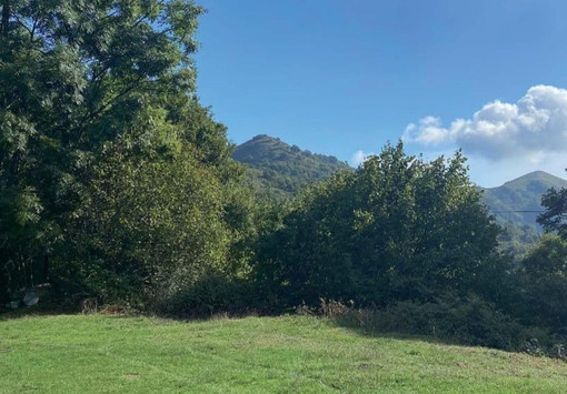 "Quando gli alberi parlano": Donatella Alfonso presenta a Savona il suo romanzo sulla Resistenza ligure "Quando gli alberi parlano": Donatella Alfonso presenta a Savona il suo romanzo sulla Resistenza ligure