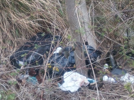 Discarica abusiva nella zona "Delle Rocche", la lista civica "Progetto Cosseria" segnala l'accaduto ai carabinieri forestali e al Comune