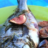 Dorade rôtie aux figues, miel et romarin Dorade rôtie aux figues, miel et romarin