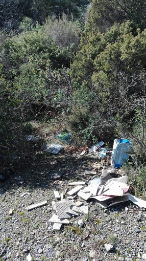 Foto tratte dalla pagina Facebook "Risolleviamo Borghetto"