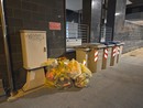 Porta a porta a Savona, Valle: "Sea-S si sta riorganizzando costantemente per far fronte alle problematiche" Porta a porta a Savona, Valle: "Sea-S si sta riorganizzando costantemente per far fronte alle problematiche"