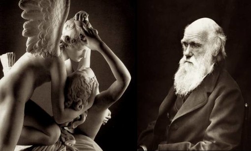 Savona: "Darwin e la selezione sessuale" alla libreria Ubik Savona: "Darwin e la selezione sessuale" alla libreria Ubik