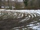 Parco del Beigua: aree danneggiate dal passaggio di autoveicoli scoperte dalle Guardie WWF Parco del Beigua: aree danneggiate dal passaggio di autoveicoli scoperte dalle Guardie WWF