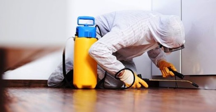 Disinfestazione ecologica: cos’è e come funziona. Ce lo spiegano gli Specialisti della Disinfestazione
