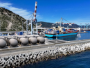 Deposito Gnl a Bergeggi, no alla VIA: "Il progetto non determina potenziali impatti ambientali significativi e negativi"