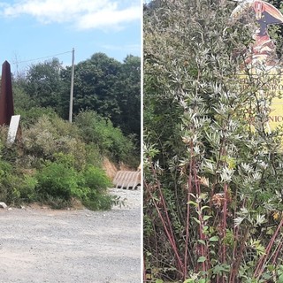 Montenotte Inferiore, l’Associazione Italiana Combattenti Interalleati denuncia: “Obelisco e cartellonistica del percorso Napoleonico in stato di degrado”