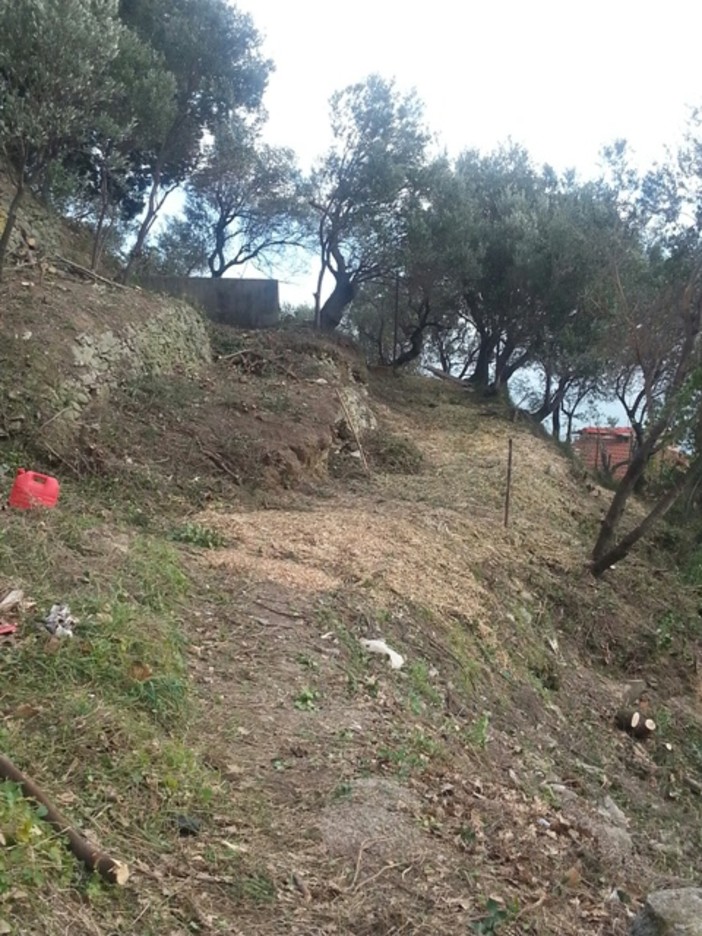 Immagine di repertorio