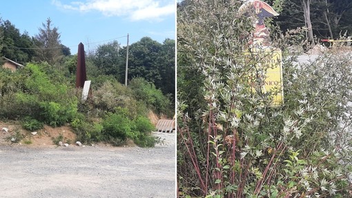 Montenotte Inferiore, l’Associazione Italiana Combattenti Interalleati denuncia: “Obelisco e cartellonistica del percorso Napoleonico in stato di degrado” Montenotte Inferiore, l’Associazione Italiana Combattenti Interalleati denuncia: “Obelisco e cartellonistica del percorso Napoleonico in stato di degrado”