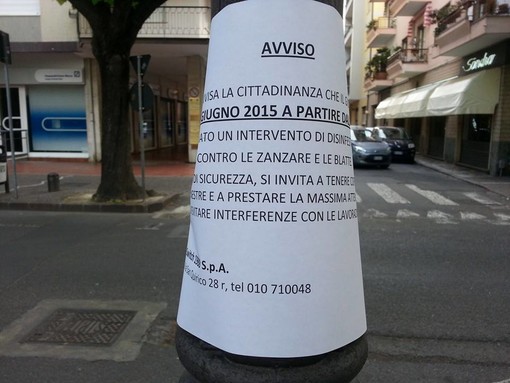 Albenga: disinfestazione da zanzare e blatte, tenere le finestre chiuse Albenga: disinfestazione da zanzare e blatte, tenere le finestre chiuse