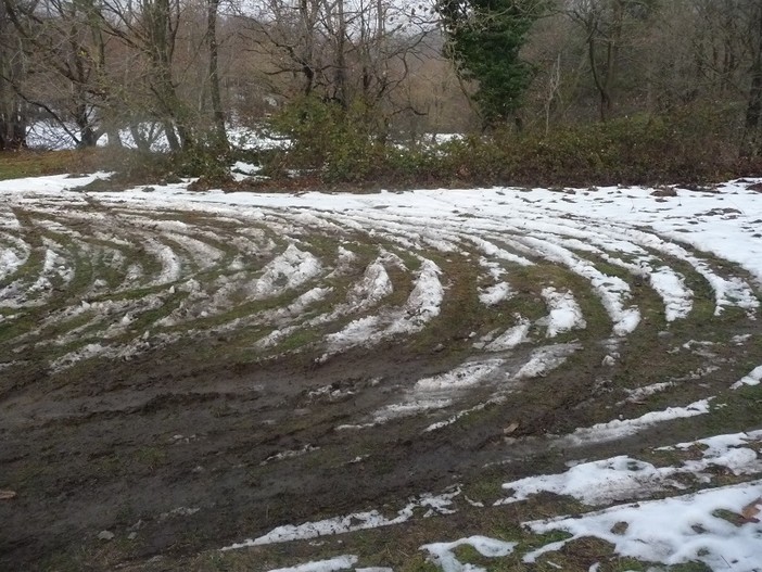 Parco del Beigua: aree danneggiate dal passaggio di autoveicoli scoperte dalle Guardie WWF Parco del Beigua: aree danneggiate dal passaggio di autoveicoli scoperte dalle Guardie WWF