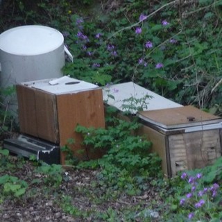 Guardie WWF proseguono l'attività di controllo sul territorio varazzino in occasione della giornata della Terra