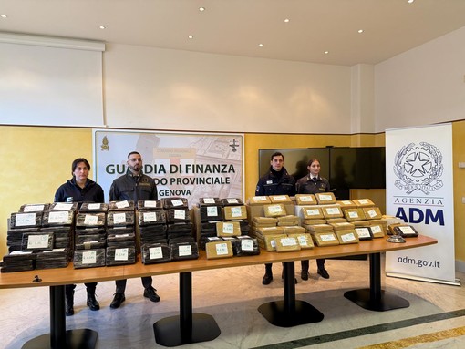 240 kg di cocaina nascosta tra le scatolette di tonno, maxi sequestro nel porto di Genova