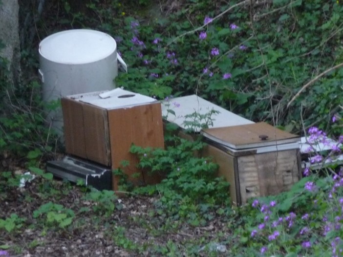 Guardie WWF proseguono l'attività di controllo sul territorio varazzino in occasione della giornata della Terra Guardie WWF proseguono l'attività di controllo sul territorio varazzino in occasione della giornata della Terra