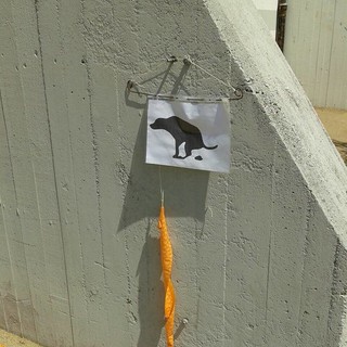 L'ENPA commenta la normativa "anti-deiezioni" di Savona: "Ormai siamo al muro contro muro"