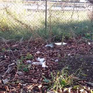 Albenga, discarica a cielo aperto in regione Rollo. Ciangherotti attacca: "Nessuno a Palazzo Civico fa niente"
