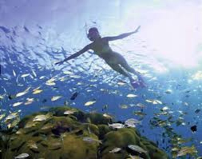 A Bergeggi escursioni di snorkeling alla Grotta Marina ed alle Falesie A Bergeggi escursioni di snorkeling alla Grotta Marina ed alle Falesie
